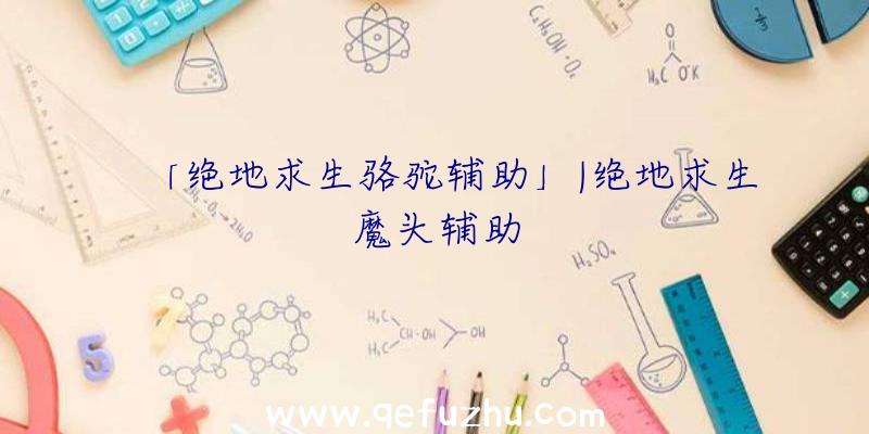 「绝地求生骆驼辅助」|绝地求生魔头辅助